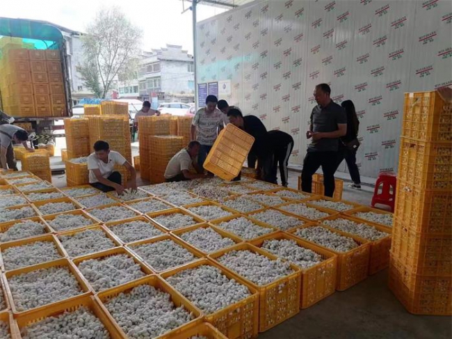 凤冈“六大优势”推动蚕桑产业发展