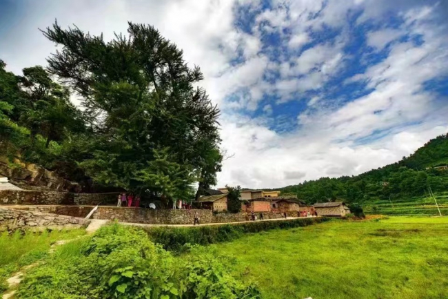 贵阳避暑村寨：要凉快 住下寨