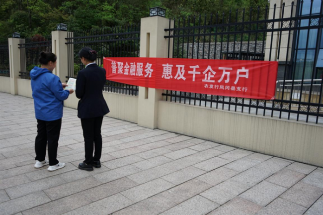农发行凤冈县支行开展“普惠金融推进月”活动