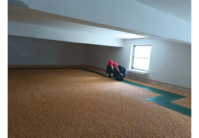 农发行威宁县支行强化“粮食”库存管理职责