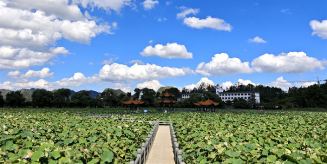 农发行安龙县支行累计投放2.26亿元支持安龙招堤一体化立体提升项目建设