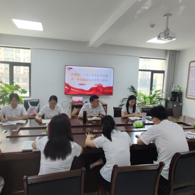 农发行习水县支行党支部开展学习贯彻党的二十届三中全会精神专题党课