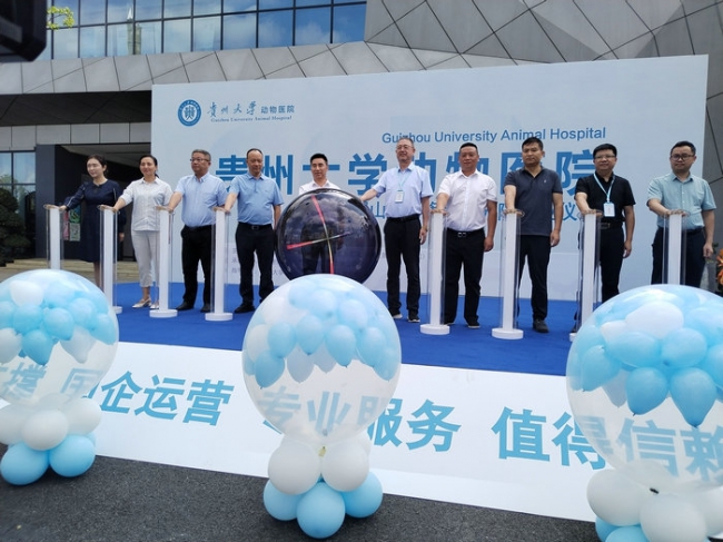 贵州大学动物医院观山湖（旗舰）分院盛大开业