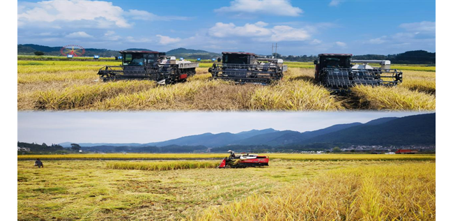 农发行黔南州分行：多措并举，擦亮金融服务乡村振兴底色