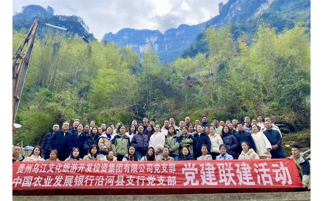 农发行贵州分行沿河土家族自治县支行党支部联合县文旅集团党支部开展党建联建活动