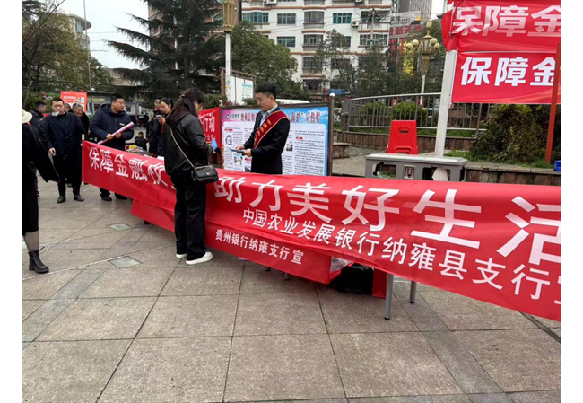农发行贵州分行纳雍县支行开展“3.15”金融消费者权益保护教育宣传活动