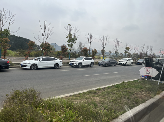 贵阳贵安樱花园烂漫花海醉游人