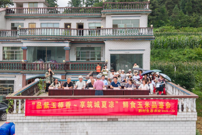 贵州鲜食玉米品鉴会：品紫玉棒香，享筑城夏凉