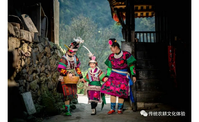 「夏韵清江·五维成长营」——传统农耕与民族文化的沉浸式研学之旅