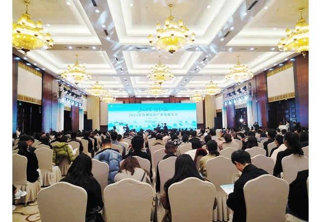 多元共生·跨界共赢 2025年贵州民宿产业发展大会在贵阳启幕 共绘产业高质量发展新蓝图