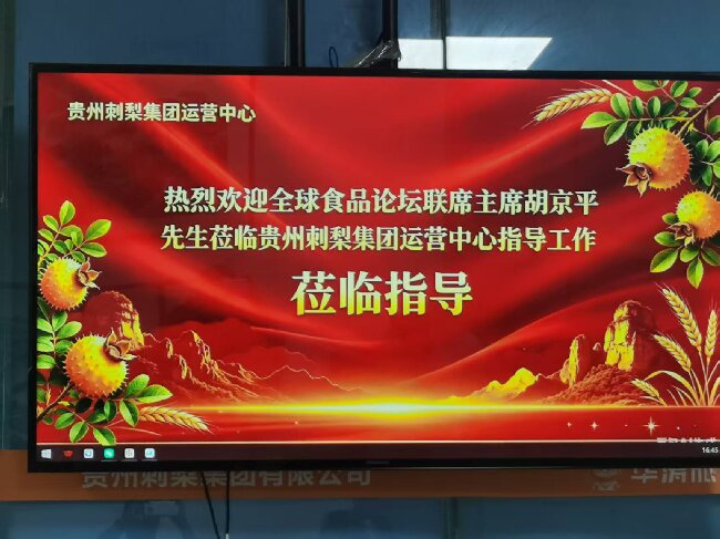 全球食品论坛联席主席胡京平莅临贵州刺梨集团运营中心考察指导